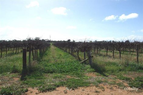 Lot 1658 Hallam Rd, Monash, SA 5342