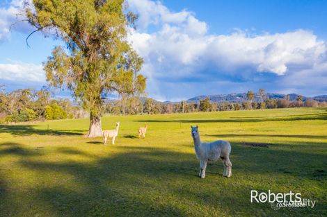 Property photo of 204 Winkleigh Road Exeter TAS 7275
