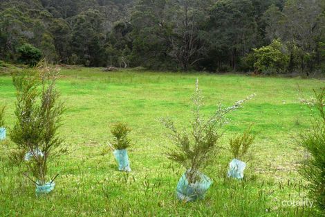 Property photo of 112 Peace Street Shadforth WA 6333