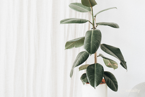 Property photo of 21 Berkeley Road Gwynneville NSW 2500