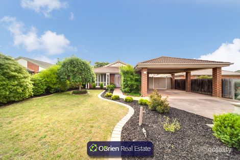 Property photo of 7 Timms Street Narre Warren South VIC 3805