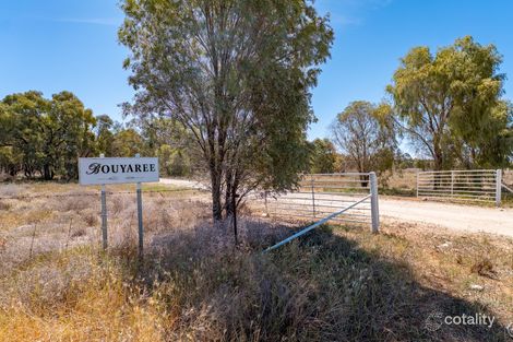 Property photo of 901 Lachlan River Road Hillston NSW 2675