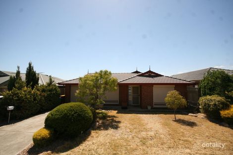 17 Cosgrove Cl, Clovelly Park, SA 5042