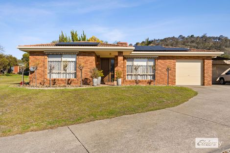 Property photo of 1/23 Bruce Street West Wodonga VIC 3690