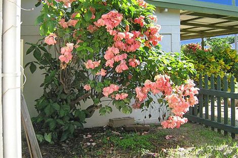 Property photo of 30 Helen Street Cooktown QLD 4895