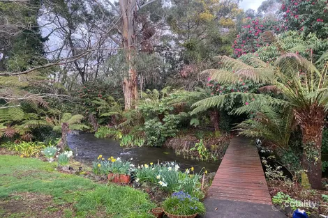 Property photo of 47 Mareeba Avenue Buxton VIC 3711