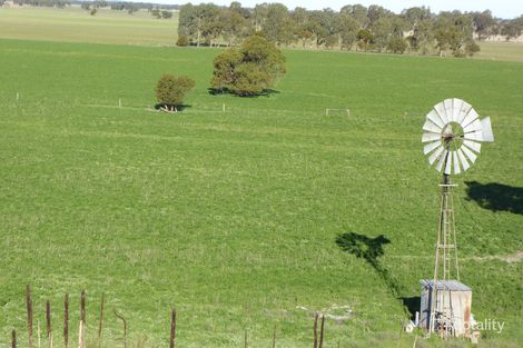 9950a Dukes Hwy, Tintinara, SA 5266