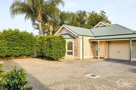 Property photo of 25B Herbert Road West Croydon SA 5008