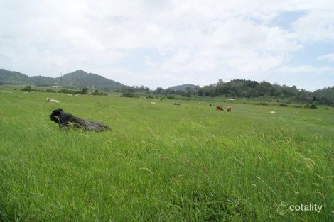 Property photo of 115 Old Bowen Coach Road Balnagowan QLD 4740