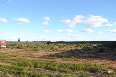 Property photo of 3003 Eleventh Street Irymple VIC 3498