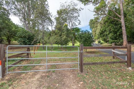 Property photo of 8 Springfield Circle Cooroy QLD 4563