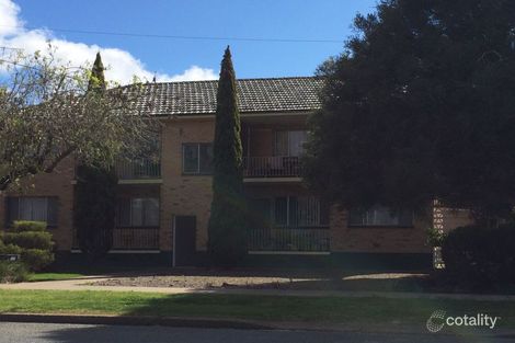 3/554 Kooringal Rd, Kooringal, NSW 2650