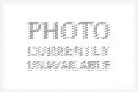 300 Carabooda Rd, Carabooda, WA 6033