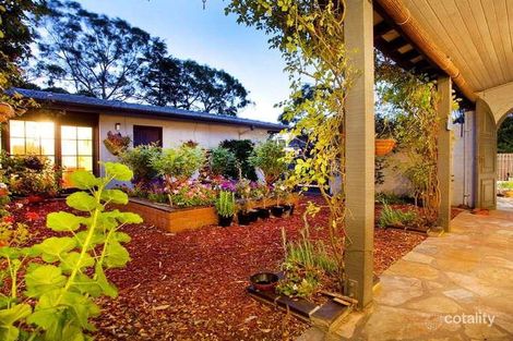 Property photo of 6 Sibyl Avenue Frankston South VIC 3199
