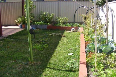 Property photo of 23 Beamish Street Campsie NSW 2194