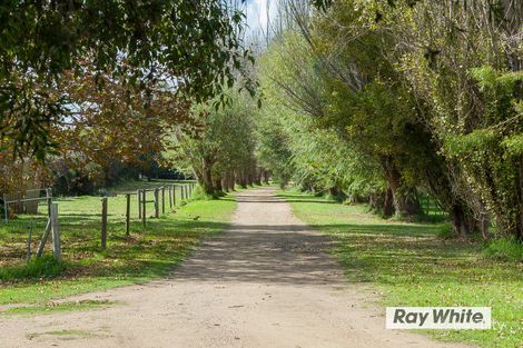 45 Sandy Rd, Fingal, VIC 3939