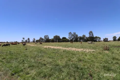 1899 Kerang-Leitchville Rd, Macorna North, VIC 3568