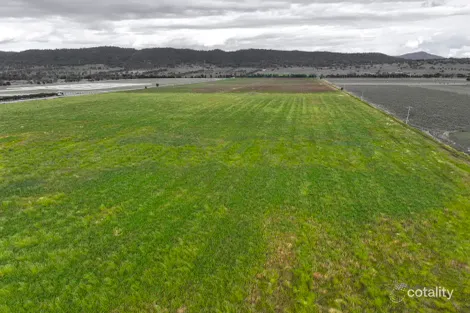 1068 Segenhoe Rd, Segenhoe, NSW 2337