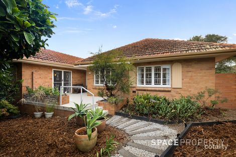 Property photo of 17 Burn Street Camp Hill QLD 4152