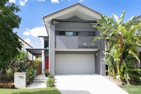 Property photo of 47 Shore Crescent Bulimba QLD 4171