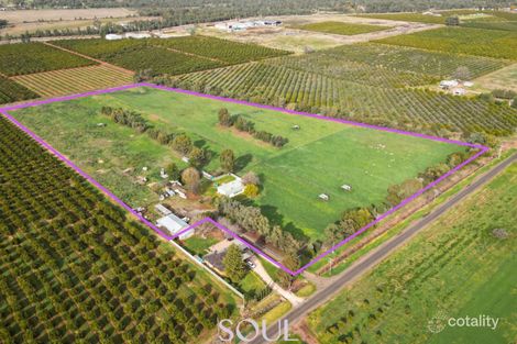 118 Mccarthy Rd, Lake Wyangan, NSW 2680