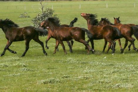 126 Andrew St, White Hills, VIC 3550