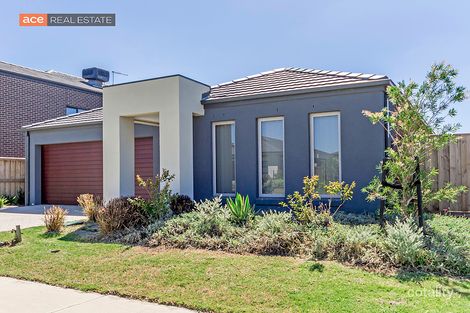 Property photo of 11 Toddington Avenue Williams Landing VIC 3027
