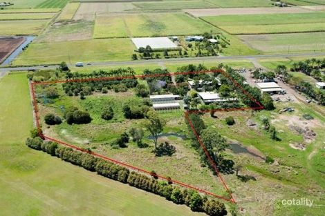 356 Fe Walker St, Ashfield, QLD 4670