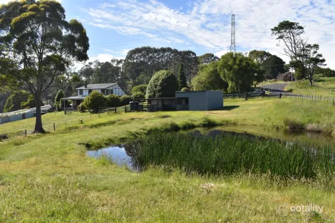 1001 Holwell Rd, Holwell, TAS 7275