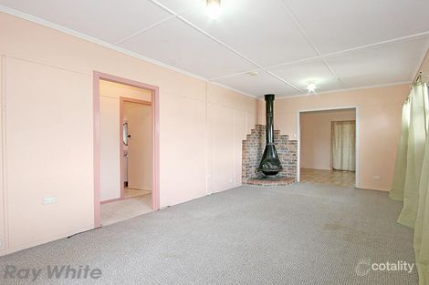 Property photo of 17 Mann Avenue Northgate QLD 4013
