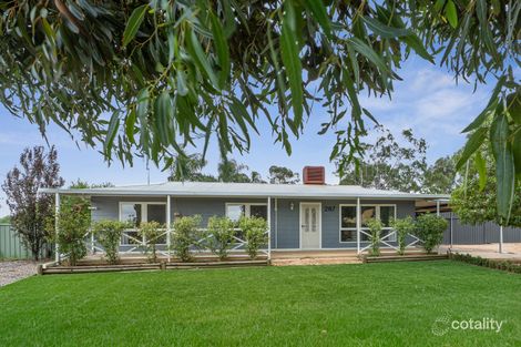 Property photo of 287 Eighth Street Renmark North SA 5341