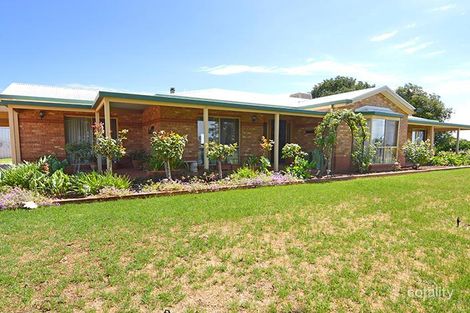 49 Mccracken St, Irymple, VIC 3498