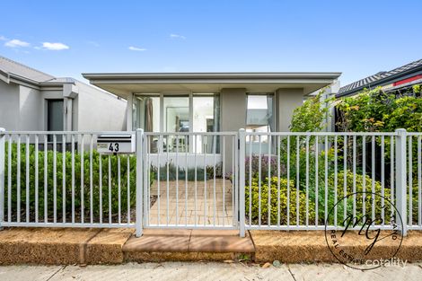 Property photo of 43 Sawtooth Bend Banksia Grove WA 6031