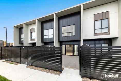 41/6 Inge King Cres, Whitlam, ACT 2611