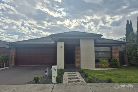 25 Everard Ave, Clyde North, VIC 3978