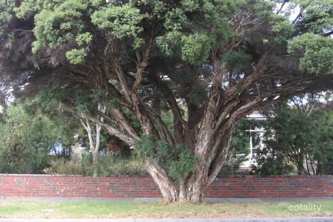 Property photo of 46 Wavell Street Bentleigh VIC 3204