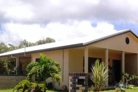 Property photo of 85 Trochus Street Dingo Beach QLD 4800