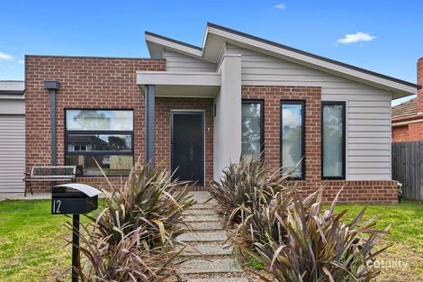Property photo of 12 Spruhan Avenue Norlane VIC 3214