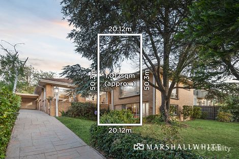 Property photo of 19 Stephens Street Balwyn North VIC 3104