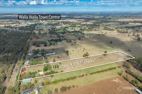 67 Chinatown Lane, Walla Walla, NSW 2659