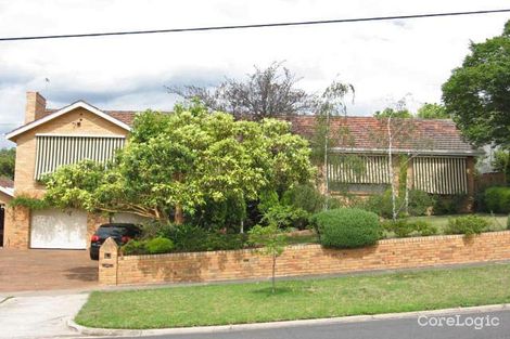 Property photo of 21 Almond Street Balwyn North VIC 3104