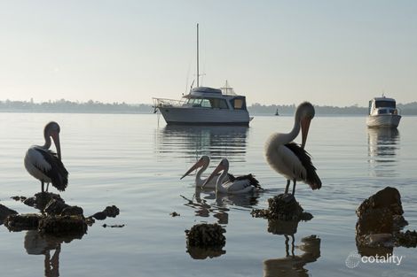 Property photo of 206/1A Stockton Street Morisset NSW 2264