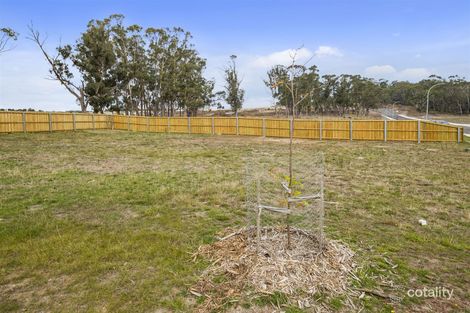 Property photo of 13 Turquoise Way Kingston TAS 7050
