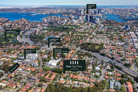 Property photo of 38 Palmer Street Cammeray NSW 2062