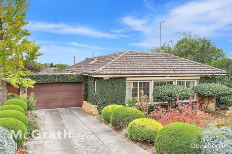 Property photo of 11 Coronation Street Mount Waverley VIC 3149