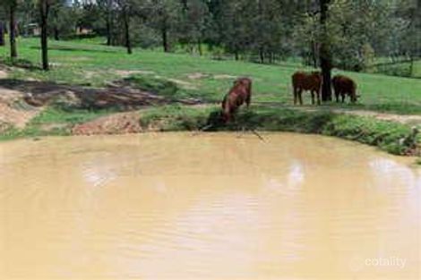 Property photo of 311-325 Dennis Road Cedar Vale QLD 4285