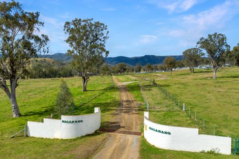 Waverley Rd, Timor, NSW 2338