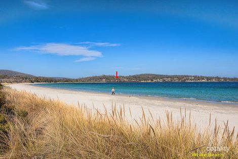 Property photo of 389 White Beach Road White Beach TAS 7184