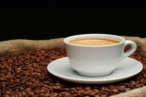 19 Westfield Dr, Doncaster, VIC 3108