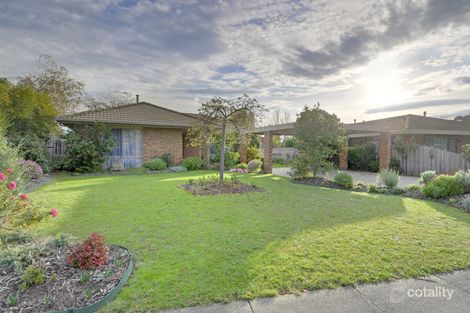 Property photo of 2 Everard Court Traralgon VIC 3844